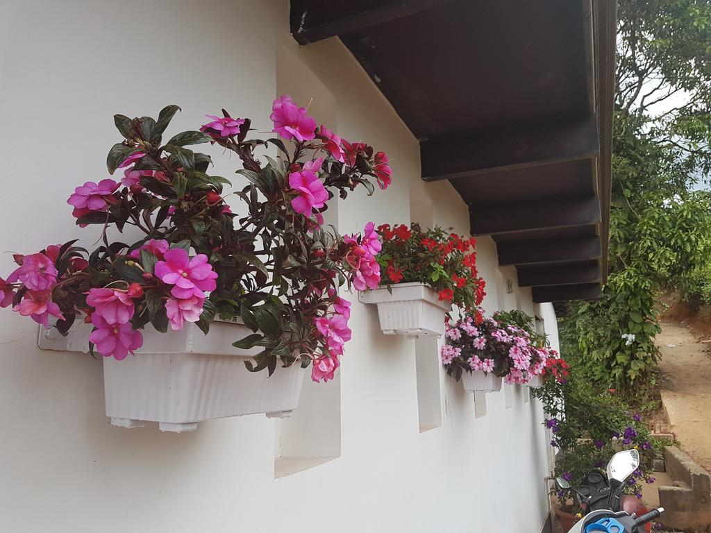 ムンナール Gruenberg Tea Plantation Haus Bed & Breakfast エクステリア 写真