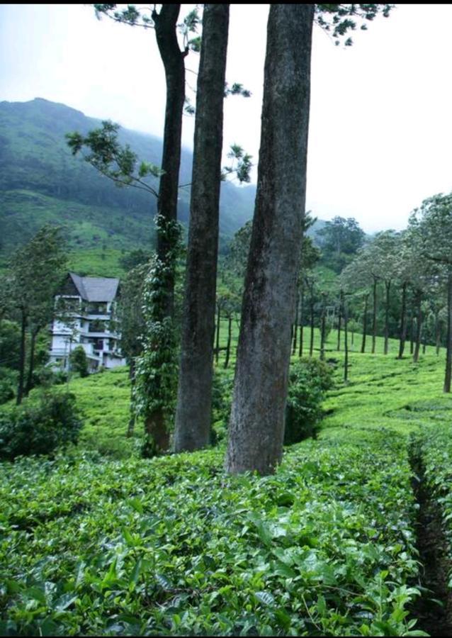 ムンナール Gruenberg Tea Plantation Haus Bed & Breakfast エクステリア 写真